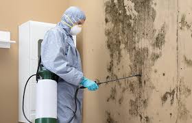 Mold Removal for HVAC Installations in Wormleysburg, PA